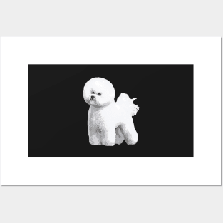 Bichon Frise Standing Beauty Posters and Art